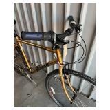 Bianchi Boardwalk Hybrid Bicycle - Size Large