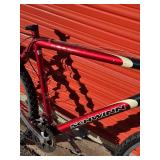 Schwinn Mesa Mountain Bike - Size Large