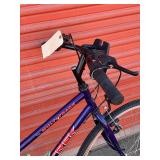 Trek 700 Step Thru Hybrid Bicycle - Size Small