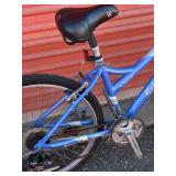 Schwinn Cimarron Bicycle