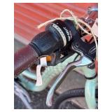 Trek Step Thru Hybrid Bicycle - Size Extra Small