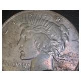 Pair of 1923 Peace Silver Dollars
