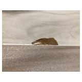 CALHOME 32 in. x 80 in. White Texture Flush Hollow Core Composite Interior Door Slab Slight Damage Customer Returns See Pictures