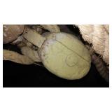 Block and tackle With Rope