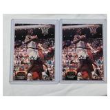 Lot of 2 Shaquille O