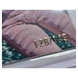 Jerry Rice 2025 Topps Glimmers and Gleam Green Wave Refractor #GG-16 and Numbered #128/149 - San Francisco 49ers Football Card