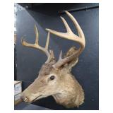 VINTAGE DEER MOUNT