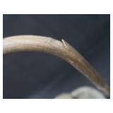 RARE NORTHWESTERN LINE SWITCHMANS RAILWAY LANTERN