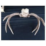 2 SETS OF ANTLERS