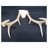 2 SETS OF ANTLERS