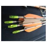 BOWFISHING / ARROWS