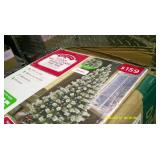 Artificial Christmas Tree