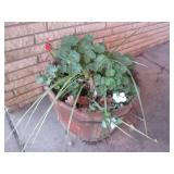 Large cast iron cauldron outdoor pl...