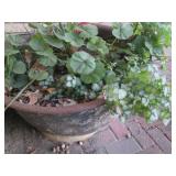 Large cast iron cauldron outdoor pl...