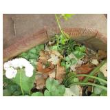 Large cast iron cauldron outdoor pl...