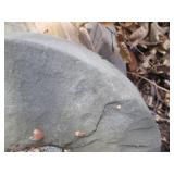 Assortment of large sharpening whee...