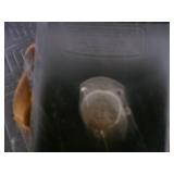 1915-1926 Eastman Kodak EKC No 2-A Folding Camera with Case