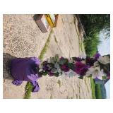 Wedding arch and bin of decor