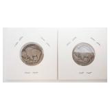 1919 and 1919-S Buffalo Nickels in Holders