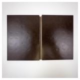 Dansco Lincoln Penny Coin Album with 125 Wheat Backs 1909-1959