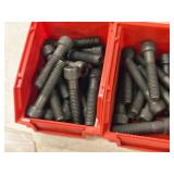 Lot of (2 Plastic Bins) Hex Socket Head Cap Screws - 1/2x2-1/2