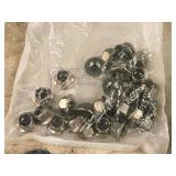 Lot of (3 Bags) Large Nuts