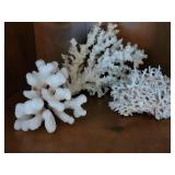 Natural Coral Specimen Collection