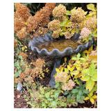 Fabulous Scalloped Shell Concrete Birdbath