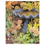 Fabulous Scalloped Shell Concrete Birdbath