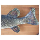 Muskie Taxidermy Mount