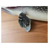 Muskie Taxidermy Mount