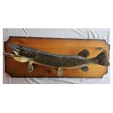 Muskie Taxidermy Mount