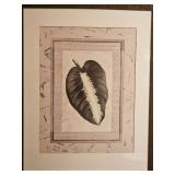 Botanical Art Tropical Leaf
