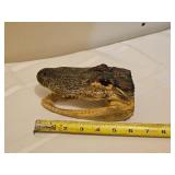 Six Inch Gator Head