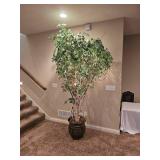 Lit Silk Birch Tree Saplings