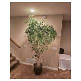 Lit Silk Birch Tree Saplings