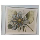 Uttermost Floral Décor Art Blue Lotus Flower 1 by Vision Studios