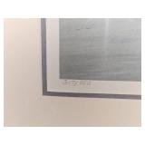 Signed & Numbered Print Misty Coast  Gulls by Robert Bateman