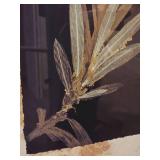 Contemporary Palm Branch Décor Art