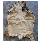 Deer Hide