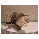 Flying Pheasant Taxidermy Wall Mount