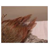 Flying Pheasant Taxidermy Wall Mount