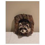 Raccoon Taxidermy Log Mount