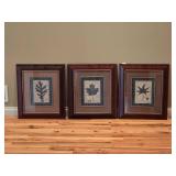 Set of (3) Framed Botanical Leaf Art Prints Ð Matching Framed Trio