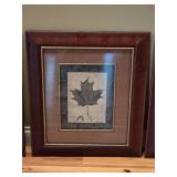 Set of (3) Framed Botanical Leaf Art Prints Ð Matching Framed Trio