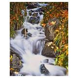 Custom Framed Canvas Autumn Waterfall Landscape Art Print - Contemporary Nature Decor