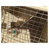 Kennel Cab II Animal Carrier