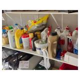 Household Chemicals - Yard Spray, Paint, Urethane, Clorox Bleach Window Cleaner, Rit and many more (assorted)
