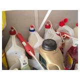 Household Chemicals - Yard Spray, Paint, Urethane, Clorox Bleach Window Cleaner, Rit and many more (assorted)