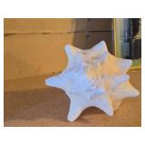 Decorative Conch Shell